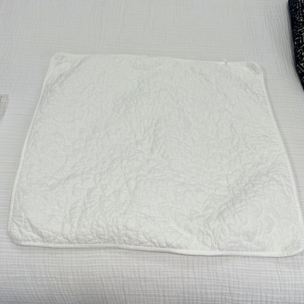 2 decorative pillow shams